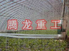 大棚花卉供暖設(shè)備、大棚卉采暖設(shè)備、大棚花卉取暖設(shè)備